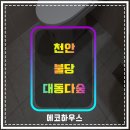 [에코하우스줄눈]천안 불당 대동다숲 인테리어 후 줄눈시공