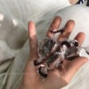 마두원 | [파주] 가볼만한곳 _인심도 좋고 맛있는 청국장 맛집 마두원. 너무 좋으신 분들-! Ft. 말고기..?