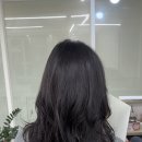 하올디자인 이미지