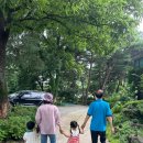 미산농장 | 안성 노주현 카페 로스가든 카페앤비노, 부모님 아기랑 함께 다녀옴