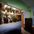 하일호스텔 이미지