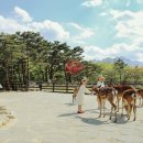 설악밸리 이미지