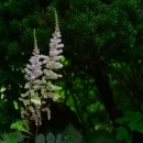 노루마당 이미지