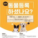 서울동물메디컬센터 이미지