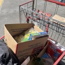 (주)지스트라 | UC 버클리 교환학생 (지스트 SAP) 두 달차 후기