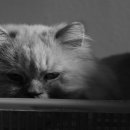 진정2농장 이미지