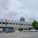 (합자)건아통운렌트카 | 강릉렌트카추천 받아 모자이카와 함께 다녀왔어요!!