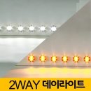 데이라이트 이미지