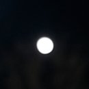 구름이 그린 달빛 이미지