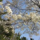 순천만여행 이미지