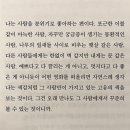 로니스도우 네이버블로그