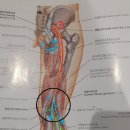 안아픈세상한의원 이미지