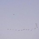 삼척번개시장 이미지