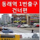 모자티헤어증모