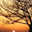 [매일문예광장] (수필) 해와 달의 시간/ 이미경 이미지