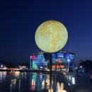 가든 쿡 | [서울 데이트장소]서울 야경 명소, 세빛섬 비어가든에서 즐기는 로맨틱한 한강 치맥 &amp; 라면 데이트