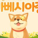 코카 24시 동물병원 이미지