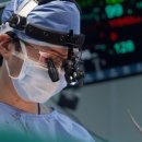 정직한동물의료센터 이미지