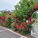 다모아의료기 이미지