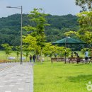 정석볼링365 이미지