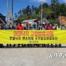 신안갯벌낙지 이미지