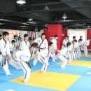 엠티에이태권도 이미지