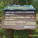 회관농장 Daum카페