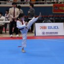 매화태권도장 이미지