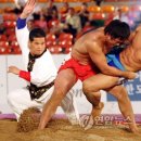 백마체육관 이미지