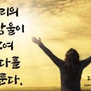 대호만물 이미지