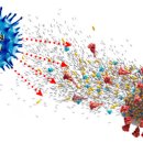 알파마취통증의학과의원 이미지