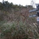 삼남상회