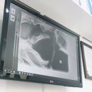 구미옥계동물병원 이미지