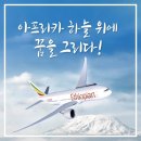 드래곤플라이투어주 이미지