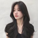 메이트헤어 네이버블로그