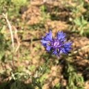 삼계초등학교 이미지