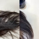 혜리농장 | 몽클로스 벨벳볼륨샴푸로 시작하는 두피케어 및 머릿결 개선 루틴 솔직후기