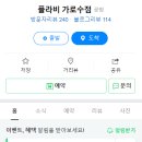 플라비 이미지