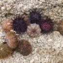 상수민박 이미지