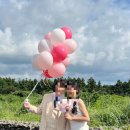 W7💍 제주 웨딩촬영 추천 '그대의 왈츠 X 오퍼스웨딩' 제주스냅 후기
