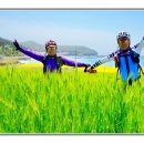 보리밭사이길로 이미지