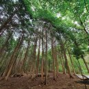 연화산 - 송파구 오금로46길 34 | 연화산