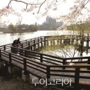 수원-1023 이미지