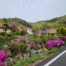 산아래물가에서 이미지