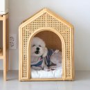 강아지집 이미지