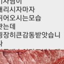 홈마트정육 이미지