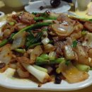중경카 Daum카페