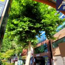 평광쉐르빌오피스텔 이미지