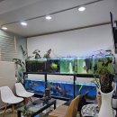 [경기용인] 라파수기명가 - 죽전동통증관리 찐 만족 후기