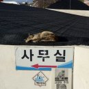 연수3단지뒤 경보등 | 부산도로연수 구포 북부 자동차운전전문학원 6시간 비용 코스 추천 내돈내산 후기